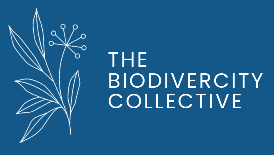 The BiodiverCity Collective