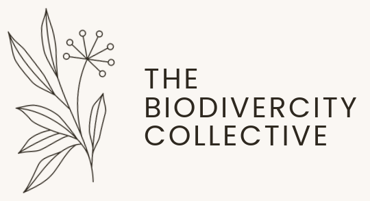 The BiodiverCity Collective