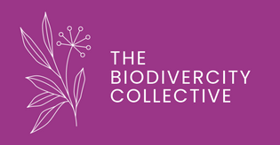 The BiodiverCity Collective
